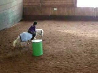 Barrel race Chloé sur Kenzo