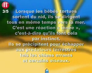 PROTOTYPE SEQUENCE T04