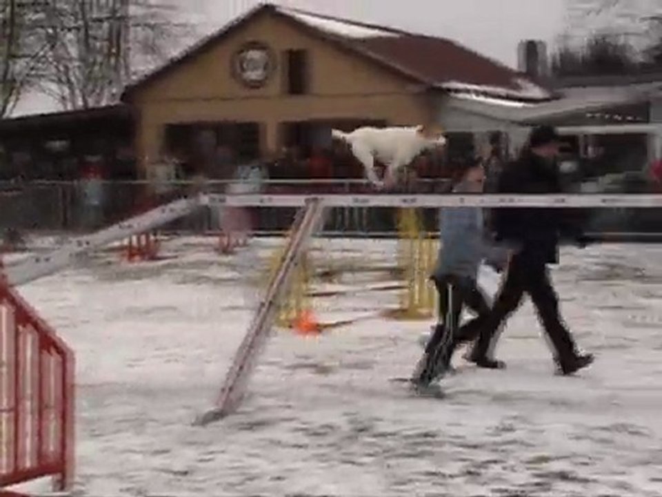 Valy_Interclubs agility