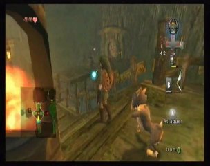 Zelda : Twilight Princess - 08 : Temple Sylvestre (Partie 2)