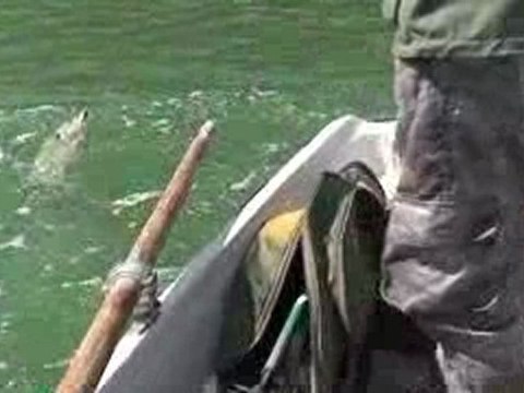 Pike fishing in Finland. Pike on Buster Jerk