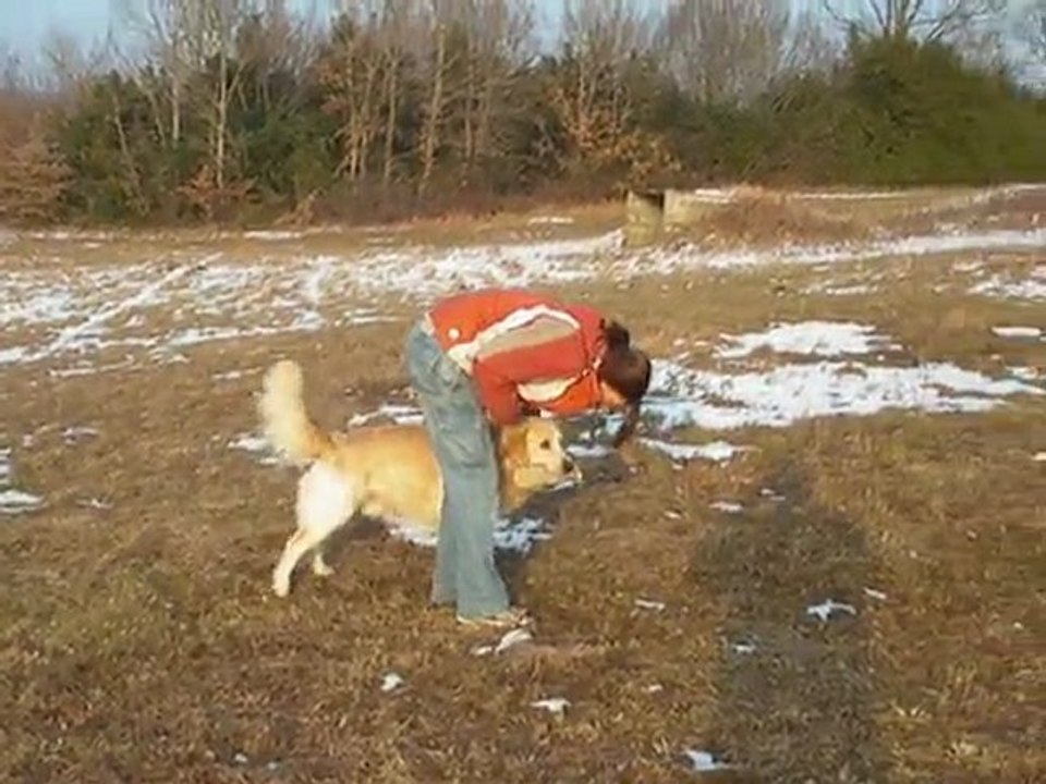 Rapport 15 fév 2010