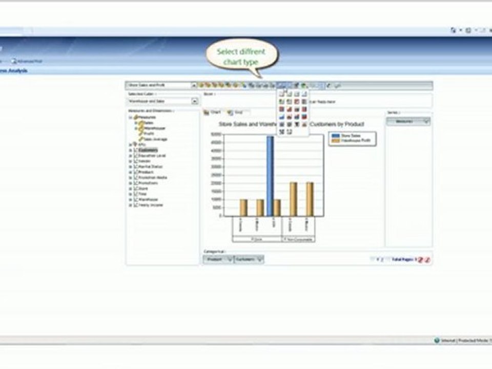 Business Analysis for Microsoft Dynamics CRM 4.0