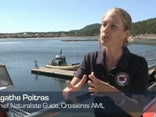 A guide to Charlevoix, Quebec