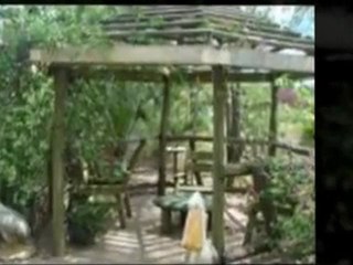 Understanding The Australian Property market