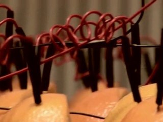 Orange Fruit Batteries Power An iPhone