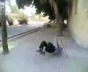 Electric Shock funny