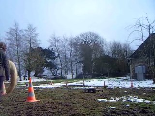 Mario séance du 15.02.10