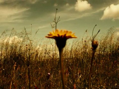 Main-Board Siir Okuma Yarısması 2.si