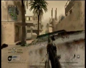 Cod 4 - [SWAT]GuPy et [SWAT]T-S