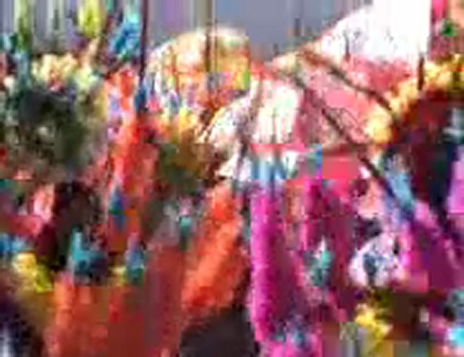 carnDG14Fevr2010PAPV1