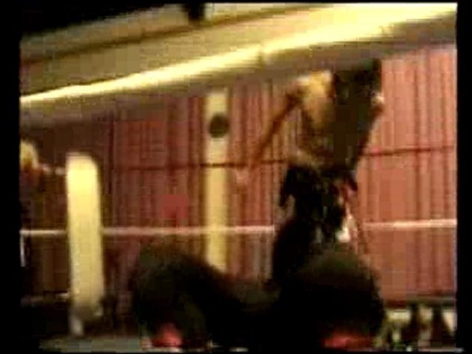 TTT Video.mpg