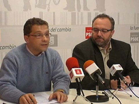 SOCIALISTAS EN LAS INSTITUCIONES.