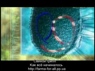 Механика человека или занимательная анатомия