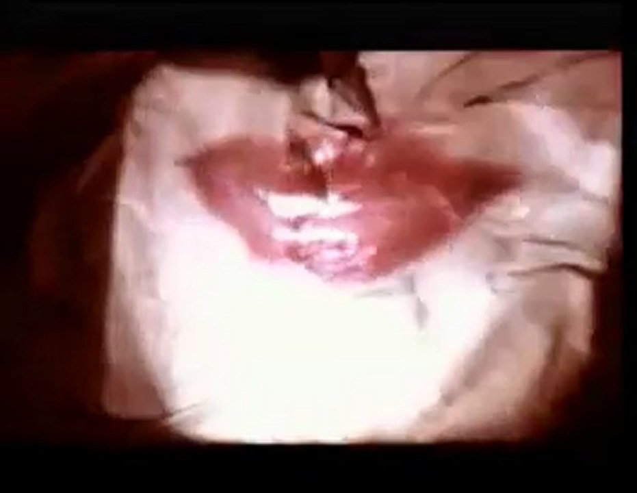 Eternal Love - PJ&Duncan