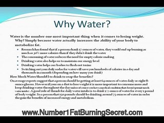 Learn the exercises to lose stomach fat?