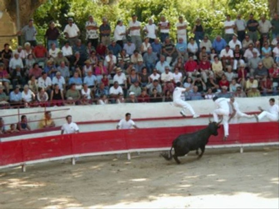La course camarguaise