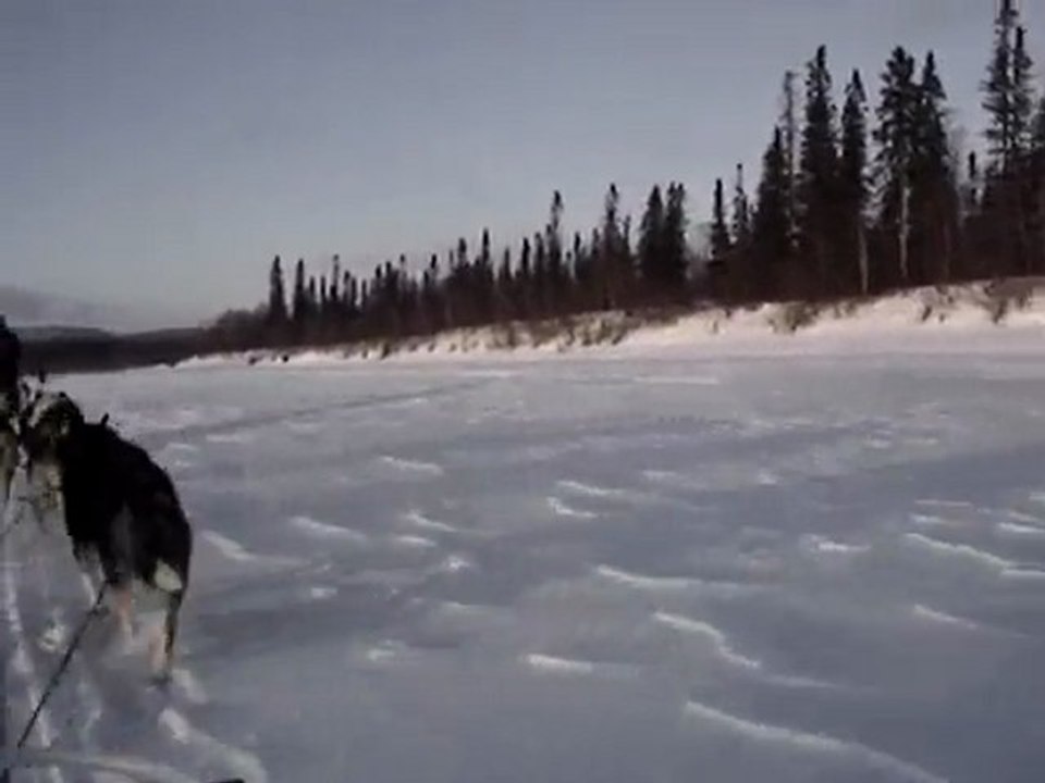 ballade en traineau à chiens - 04/02/2010
