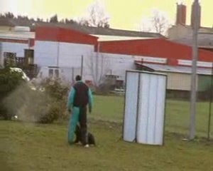 Garde au ferme