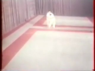 méthode d'entrainement judo