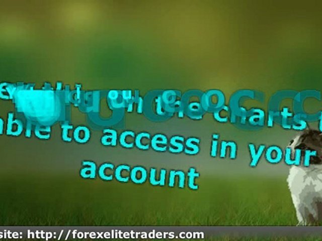 Currency Trading Strategies: Make Money With Forex Trading