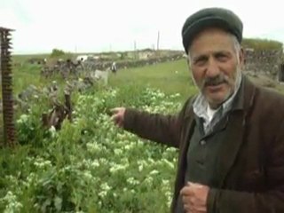 Büyük Çatma köyü 2