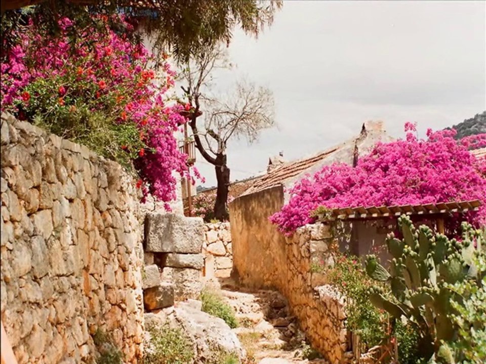 kaş'ım seni çok seviyorum kaş resımlerı mütavazı forum.