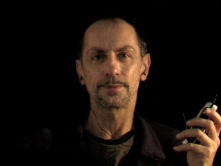 Des arbres sur la banquise