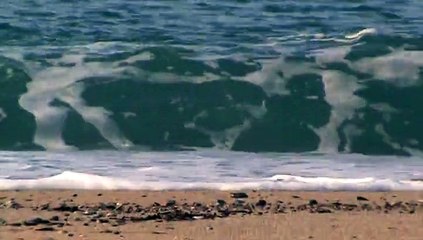 PLAGE DE BIDART COTE BASQUE
