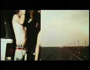 vidéo Brown Bunny / Editions Potemkine