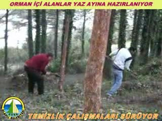 ORMAN İÇİ ALANLAR TEMİZLENİYOR