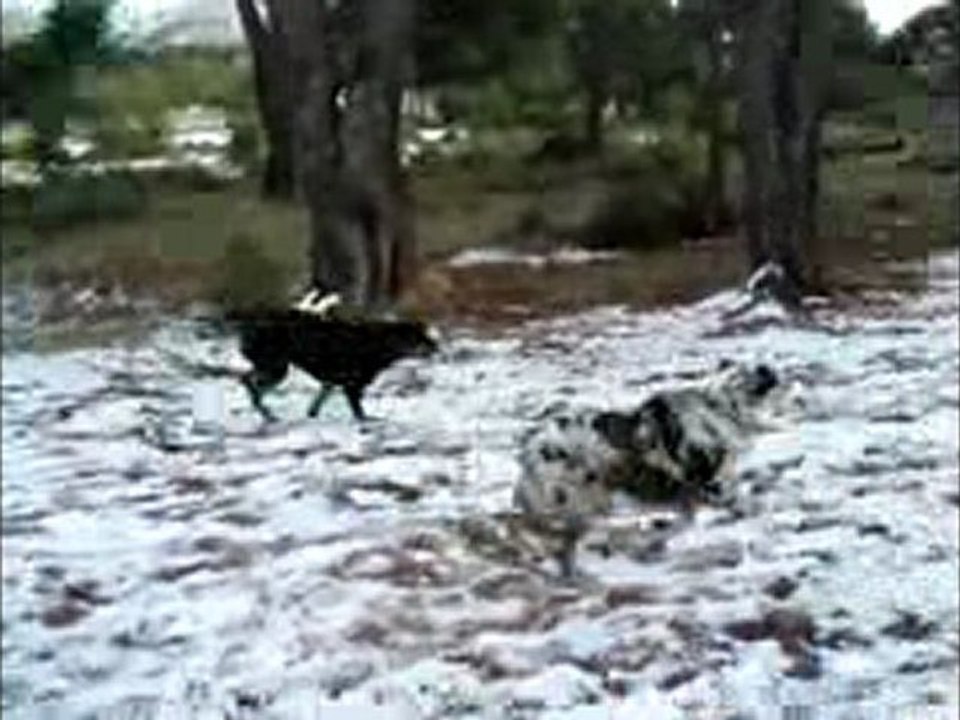 Eletta & Shaina Ste Victoire 1