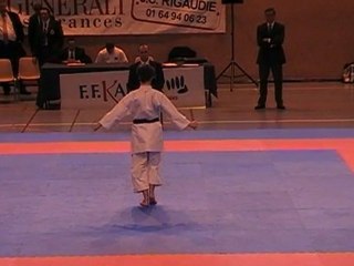KSE Massy,kata individuel  championnat de l'essonne