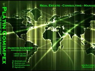 Platin Comimpex s.r.l.