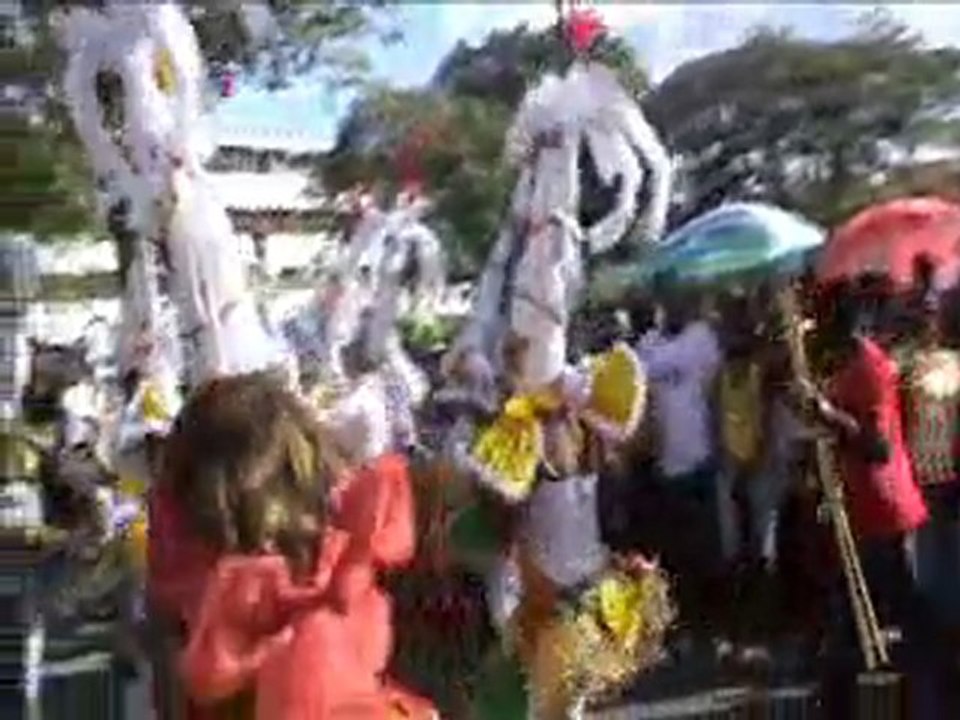 carnDG14Fevr2010PAPV2