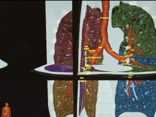 Study Finds Cigar and Pipe Smoking Doubles Risk of COPD