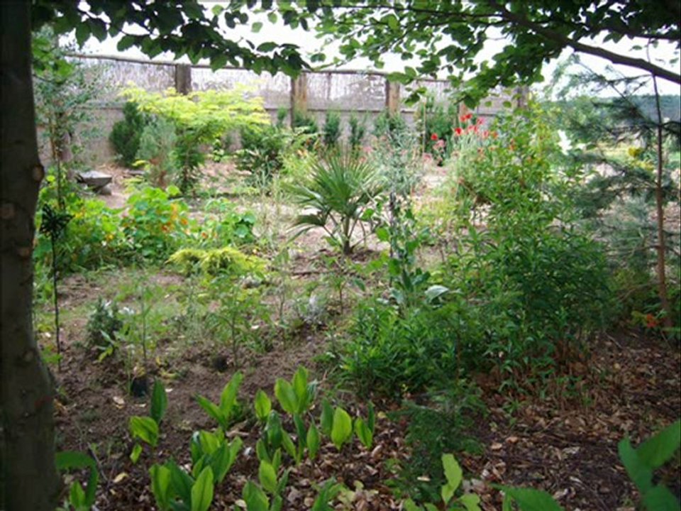 Sommer 2009 im Exotik-Kunst-Garten; Lychen