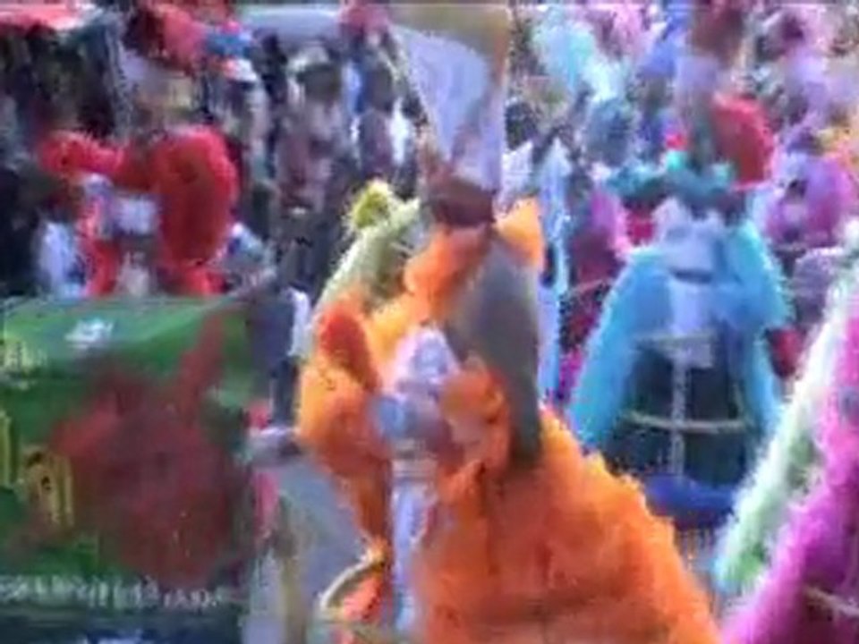 carnDG14Fevr2010PAPV3