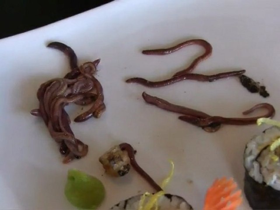 Raw Worm Sushi!