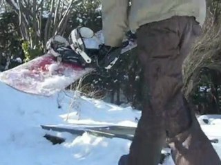 Snowboard février 2010