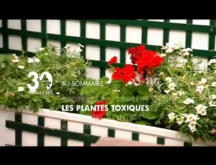 Sommaire émission 30 Millions d'Amis du 20 02 10