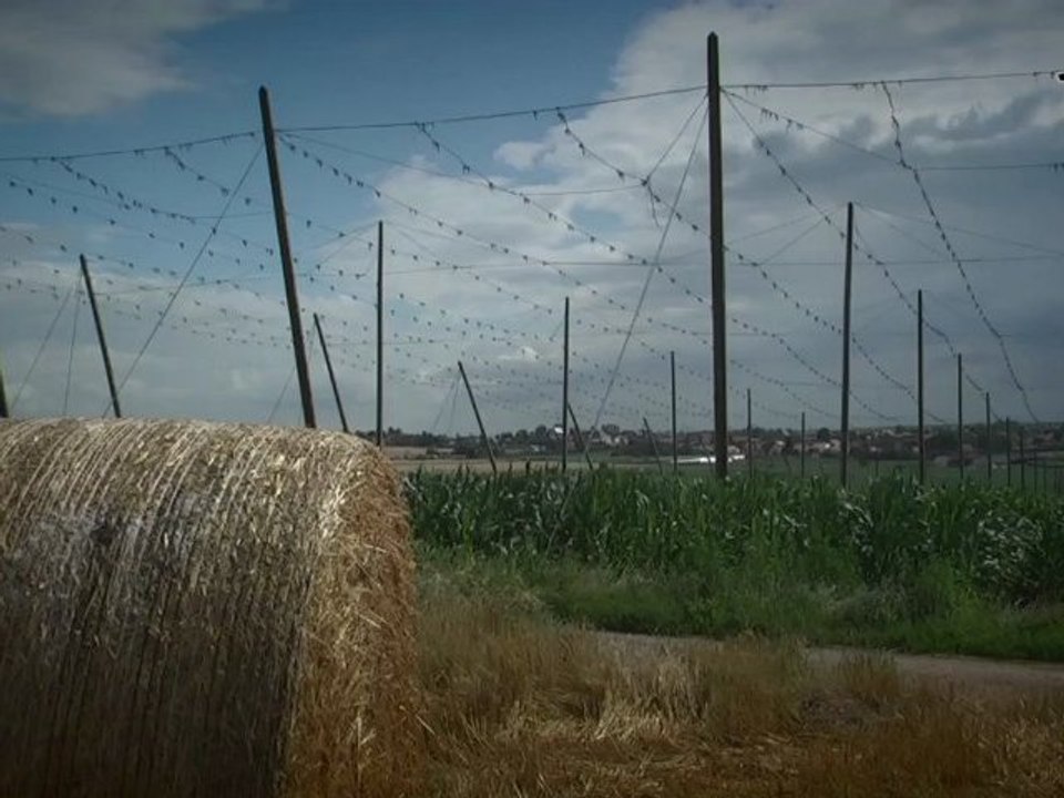 Les Rendez-vous du Patrimoine (7/26) - Minversheim