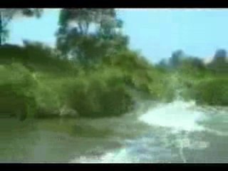 regis sur l'eau Best Of