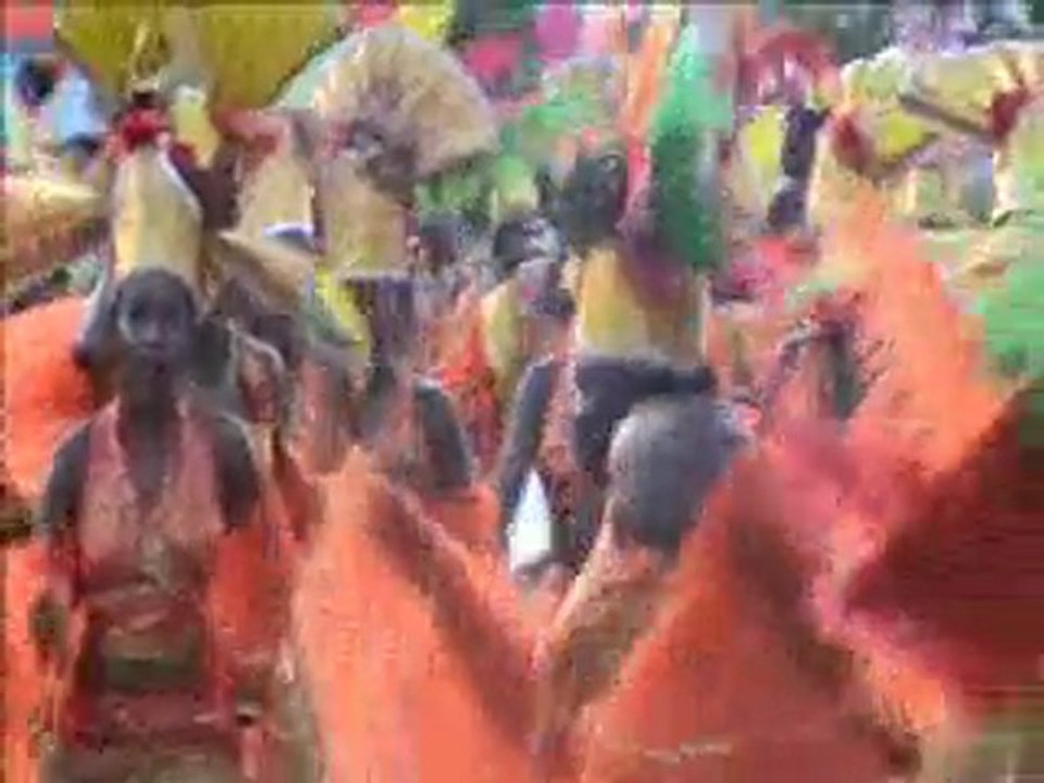 carnDG14Fevr2010PAPV4