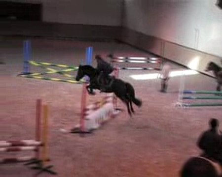 Shutterfly de Beausse stage Le Lion d'Angers 2010