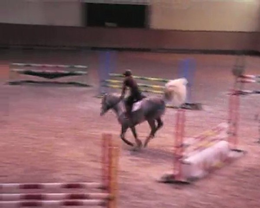 Ruy Blas de Boissis stage 13 et 14 fev 2010