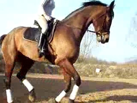 wes mars 2009 galop 1 (6 mois de travail)