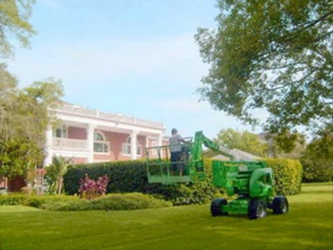 Roof Cleaning Tampa FL