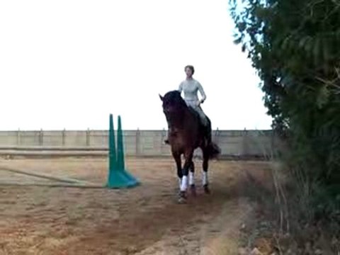 wes mars 2009 trot 2 (6 mois de travail)