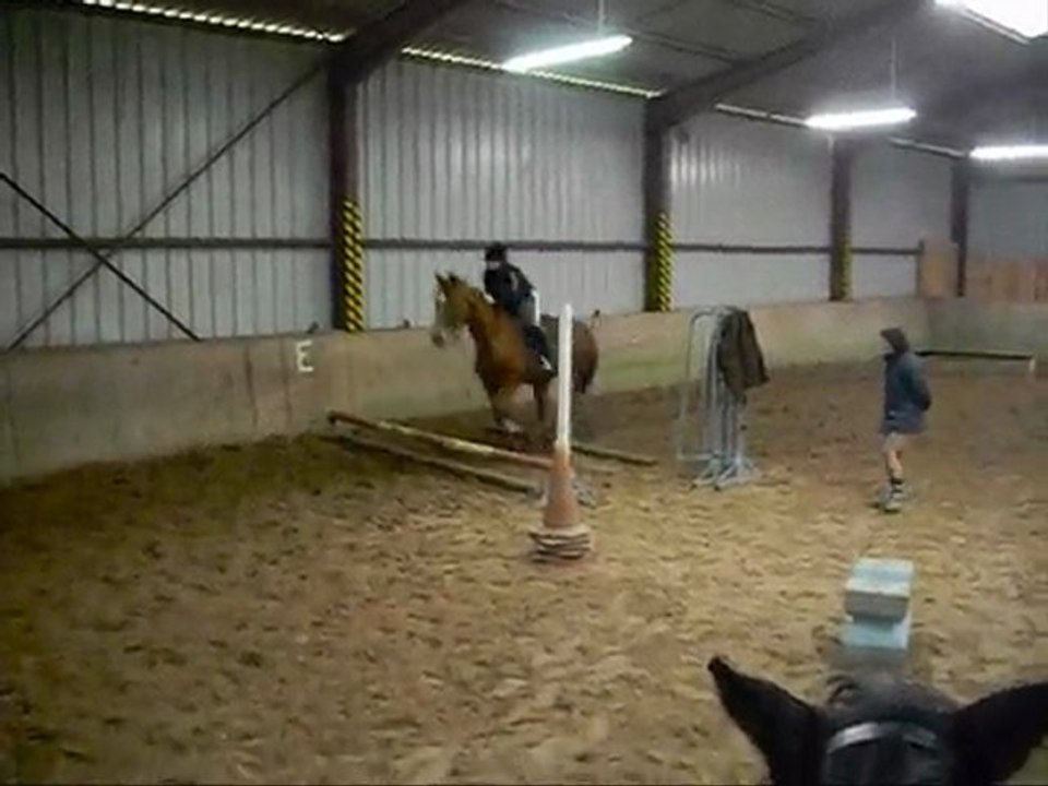 Stage SHUC 16/02/10 , Galop + Parcours + Premiers sauts !